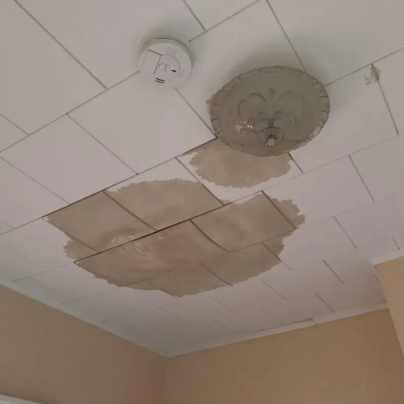 Ceiling Water Damage Repair in Georgetown, IN