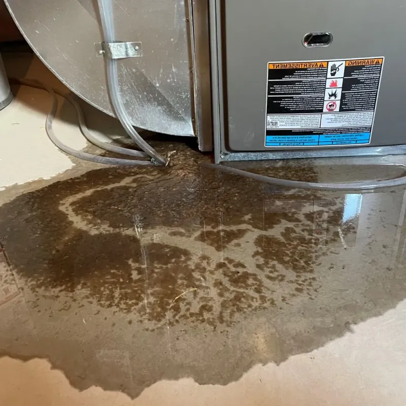Pipe Burst and Leak Restoration in Georgetown, IN